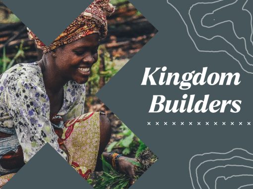 0079-kingdom-builders